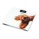 Вага ZELMER ZBS1010 Crazy dog 60705631P фото 2