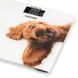 Вага ZELMER ZBS1010 Crazy dog 60705631P фото 1